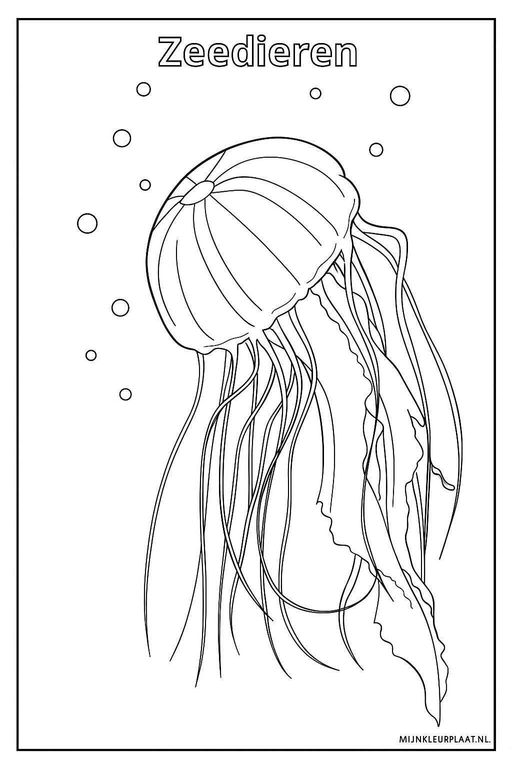 Please provide the Dutch text.