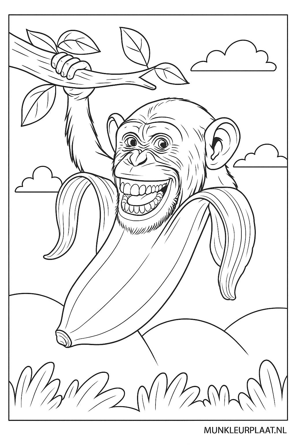 Please provide the Dutch text.