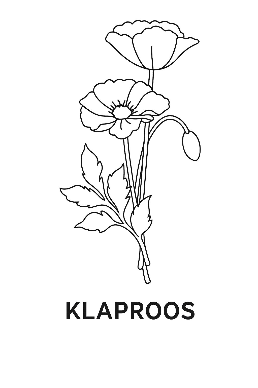 Kleurplaat van klaproos, variant 2