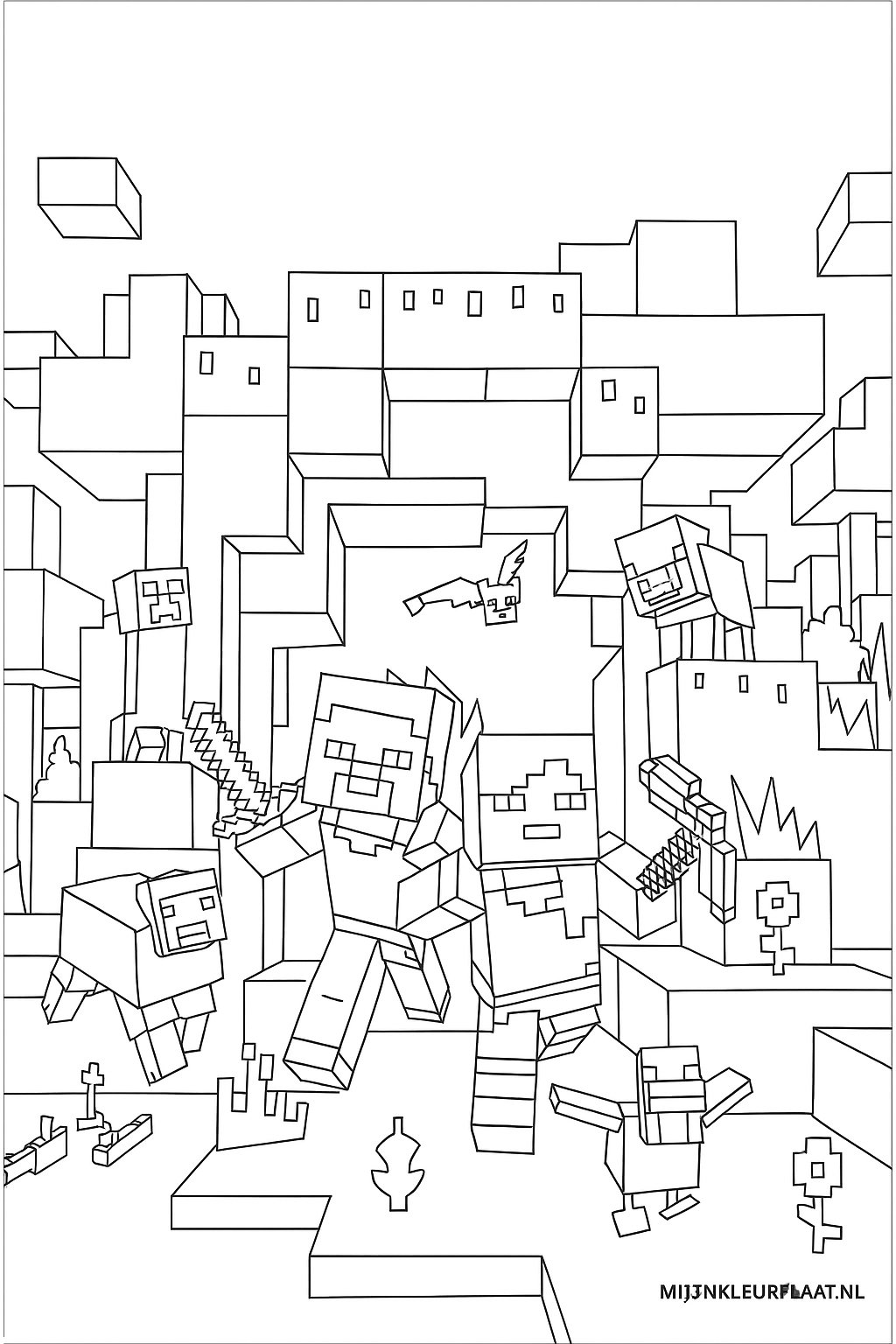 Please provide the Dutch text.