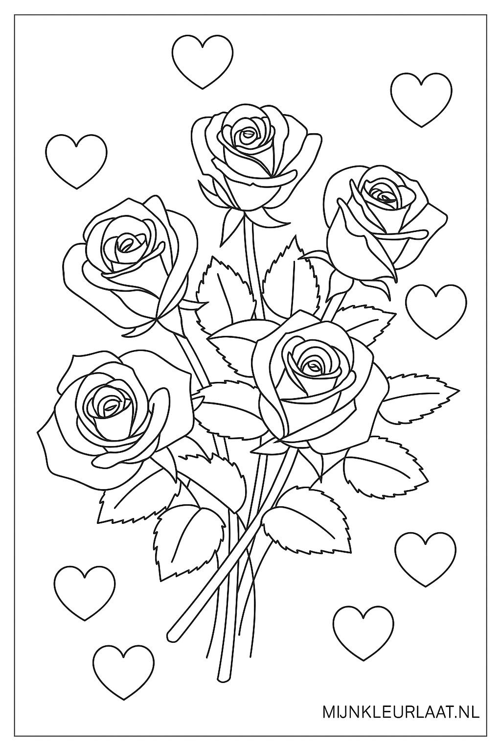 Please provide the Dutch text.