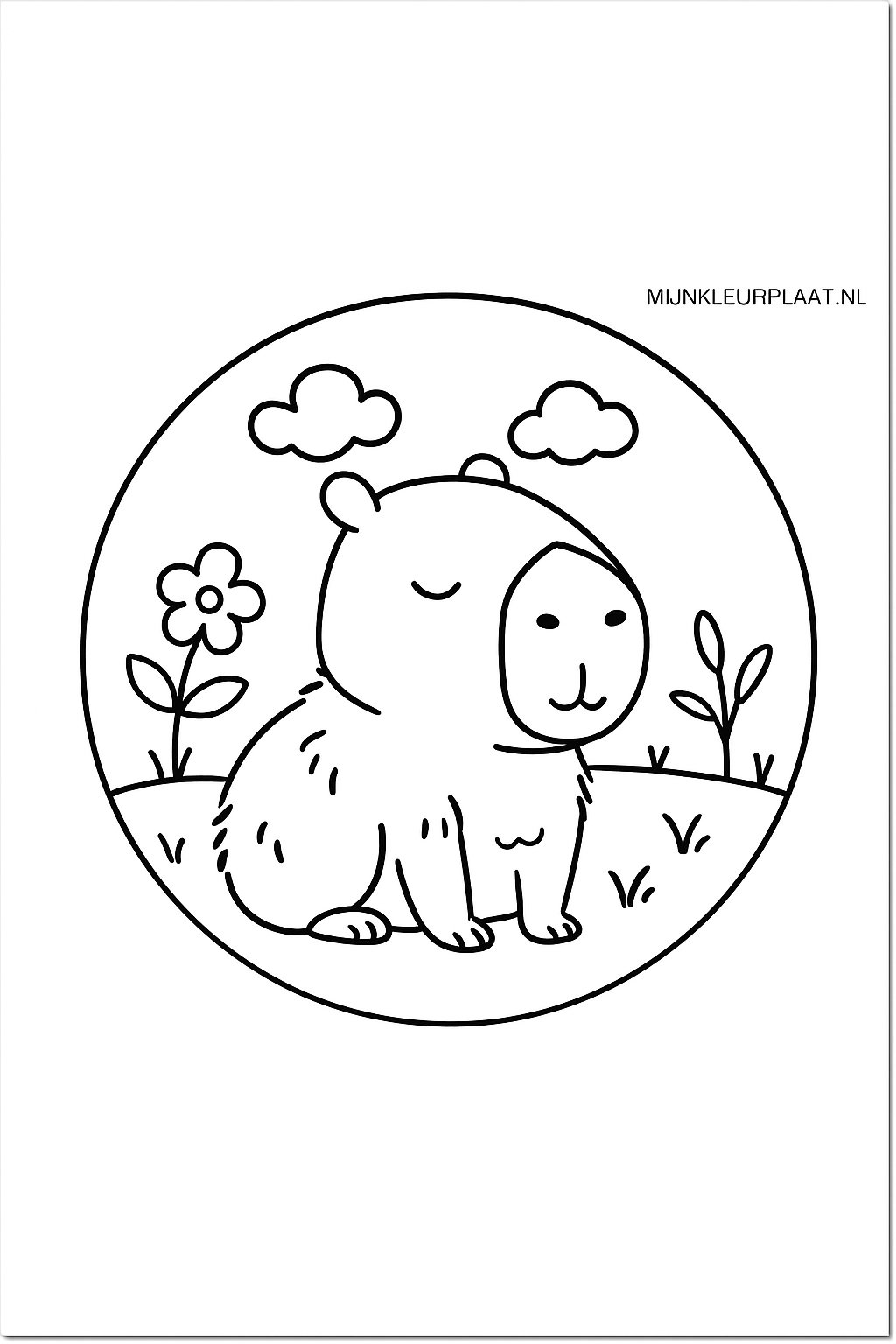 Please provide the Dutch text you would like translated.