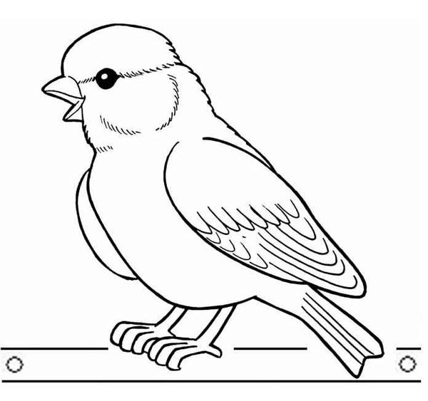 Coloring page for kids
