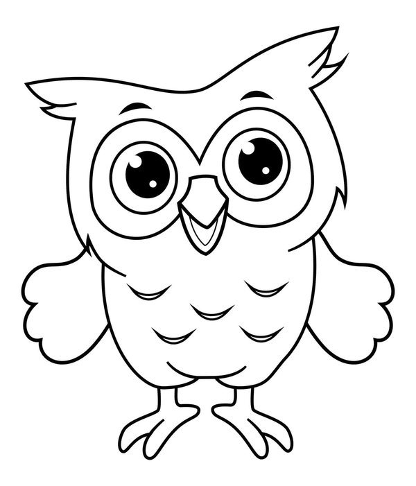 Birds Cute Owl coloring page for children