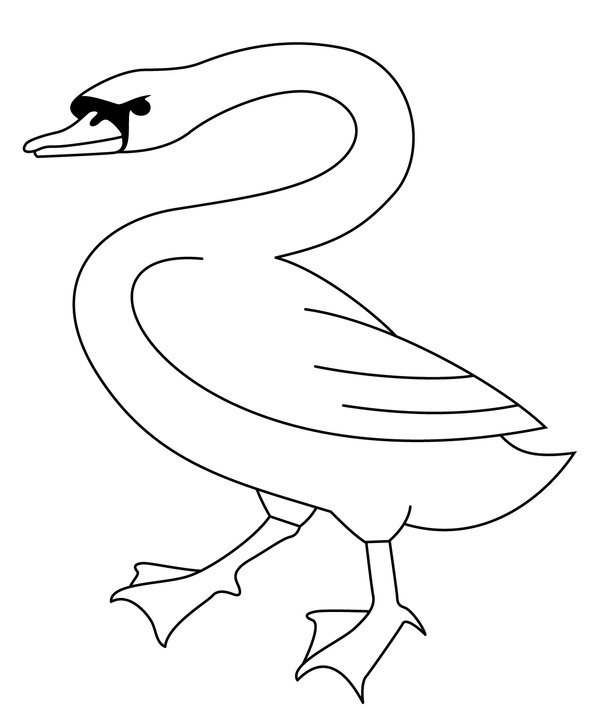 Birds Easy White Swan coloring page for children