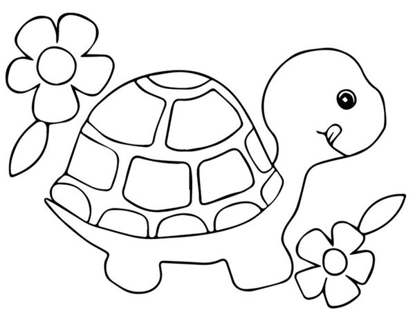 Bonita Tortuga Con Flores coloring page for children