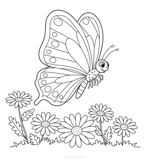 Butterfly Hovering Above Daisies coloring page for children