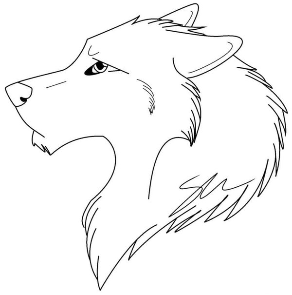 Cabeza De Lobo De Lado coloring page for children