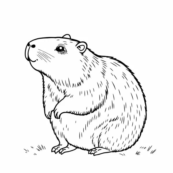 Capybara assis coloring page for children