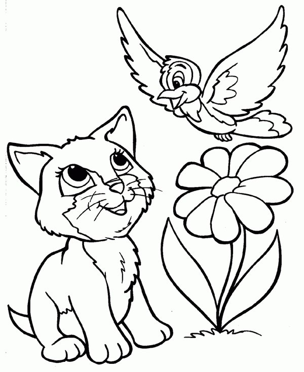 Cat Bird Flower coloring page for children