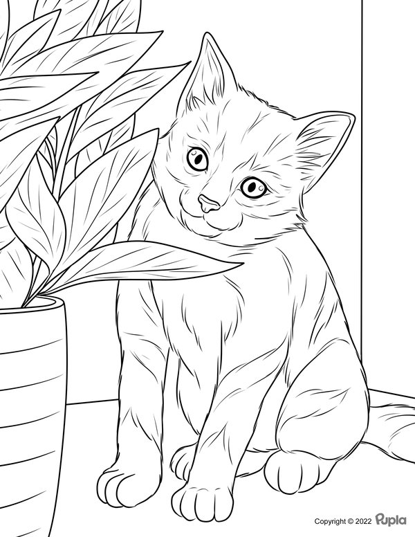 Cat Plant coloring page for children