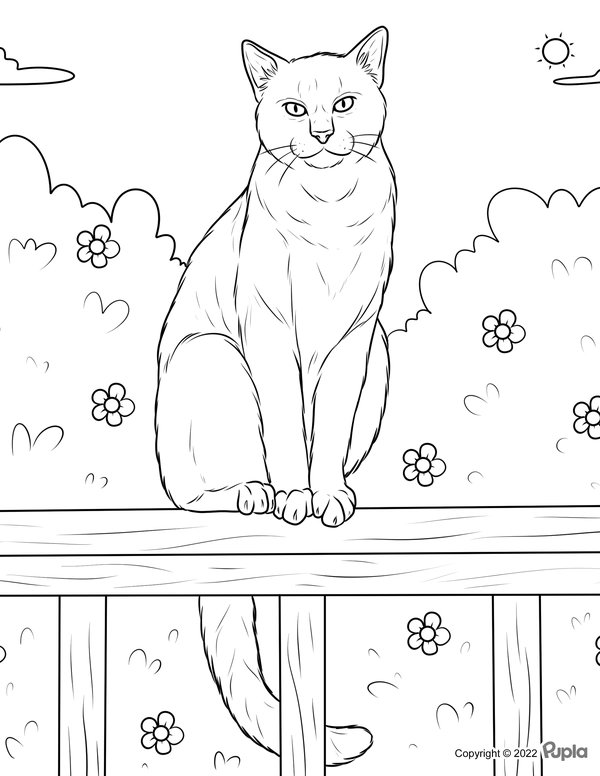 Cat Sitting Bench coloring page for children