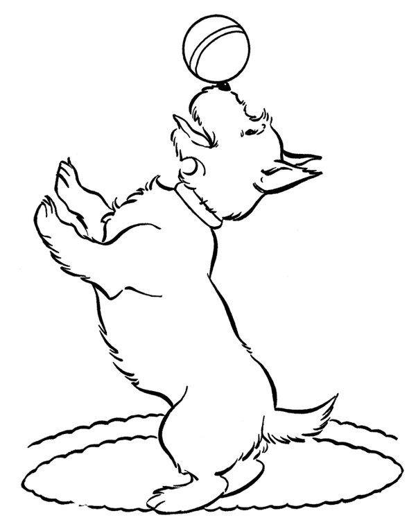 Chien Avec Balle coloring page for children