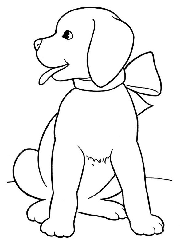 Chien Golden Retriever Chiot coloring page for children