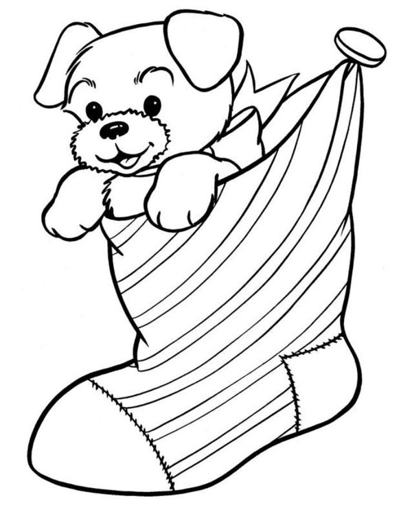 Chiot Dans Une Chaussette coloring page for children