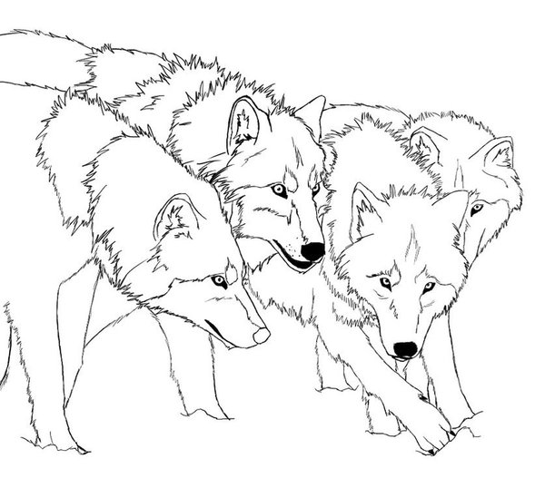 Cuatro Lobos Juntos coloring page for children