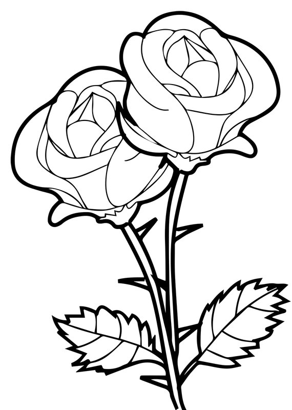 Deux Roses coloring page for children