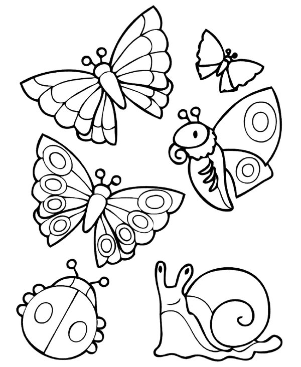 Different Spring Animals coloring page for children