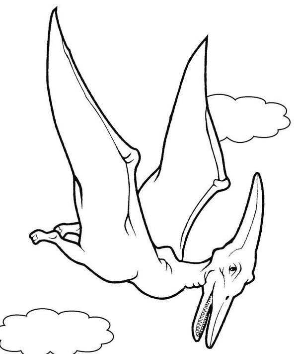 Malvorlage Dinosaurier Pterodactyl