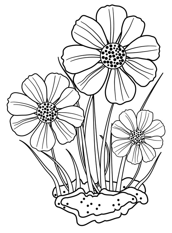 Drie Bloemen coloring page for children