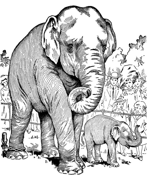Elefante Con Bebe Detallado coloring page for children