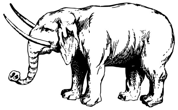Elephant Long Tusks coloring page for children