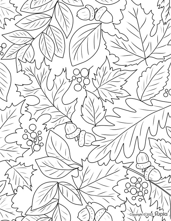 Fall Leaves Acorns Composition coloring page for children