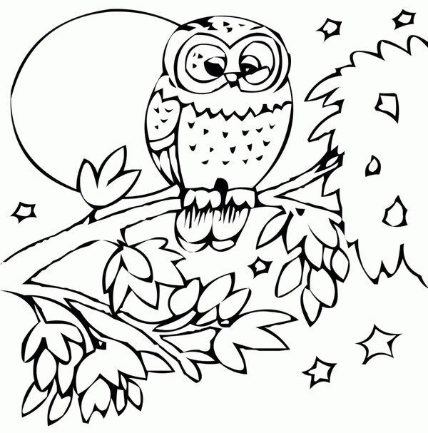 Fall Owl Tree coloring page for children
