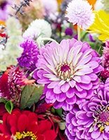 Feuille de coloriage pour enfants