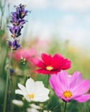 Fruhling coloring page for children