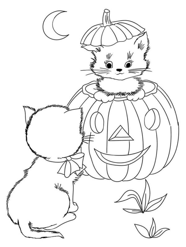 Gato De Halloween En Calabaza coloring page for children
