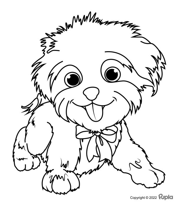 Hond Harige Puppy coloring page for children