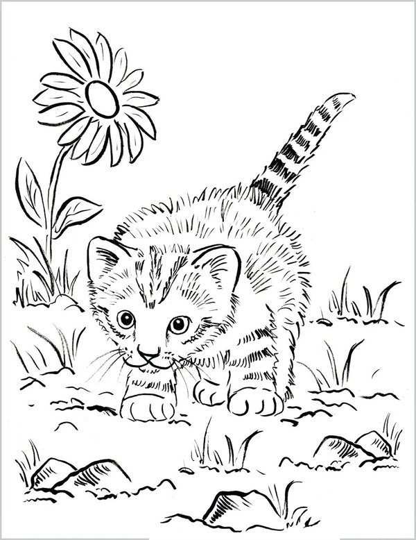 Kat Speelt Tuin coloring page for children
