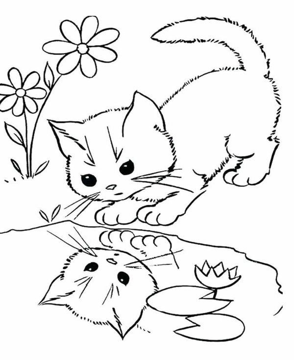 Kitten Looking Water coloring page for children