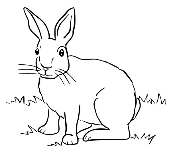 Lapin Dans L Herbe coloring page for children