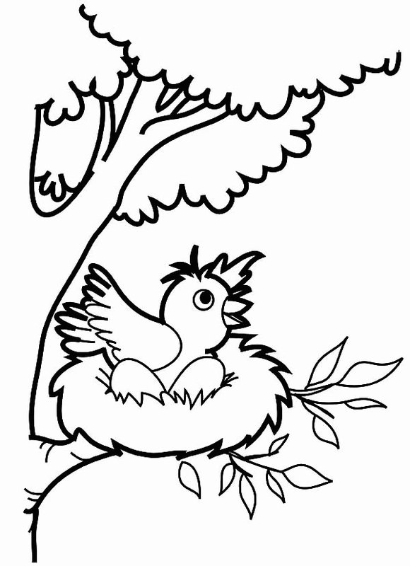 Childrens coloring page