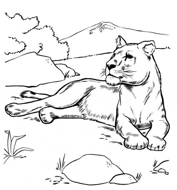 Lion Femelle Menteur coloring page for children