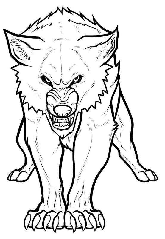 Lobo Artico Enfadado coloring page for children