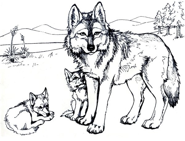 Loup avec deux bébés loups coloring page for children