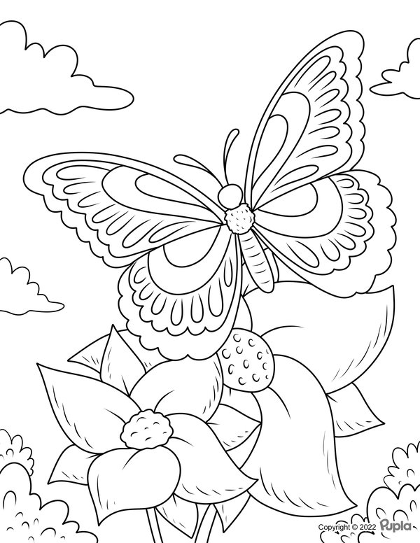 Mariposa Con Narcisos coloring page for children