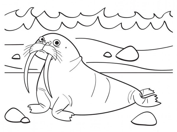 Morses Sur La Plage coloring page for children