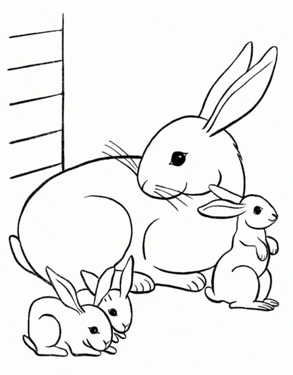 Mother Bunny Three Baby Bunnies coloring page for children