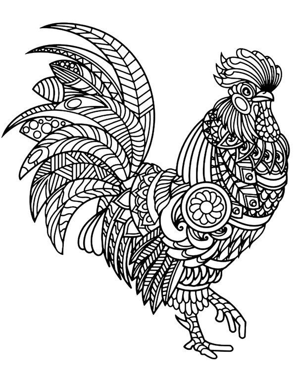 Oiseaux Coqs Detailles coloring page for children