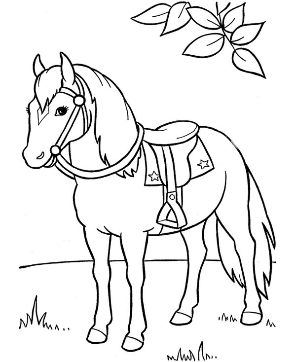Childrens coloring page