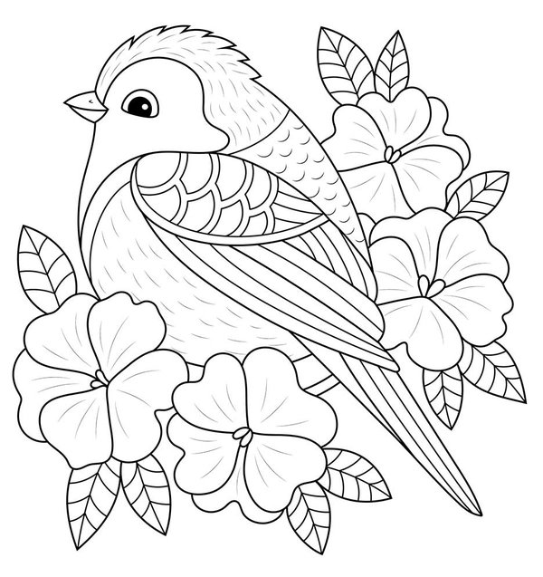 Pajaro De Primavera coloring page for children