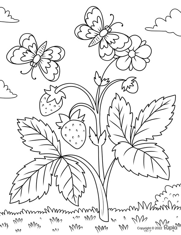 Papillons Et Fraises coloring page for children