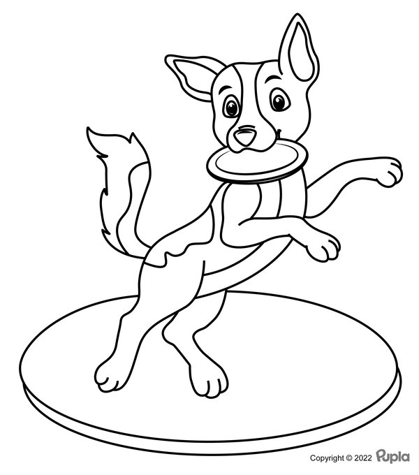 Perro Con Frisbee coloring page for children