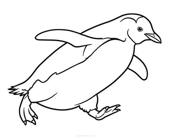 Pinguïn Rennen coloring page for children