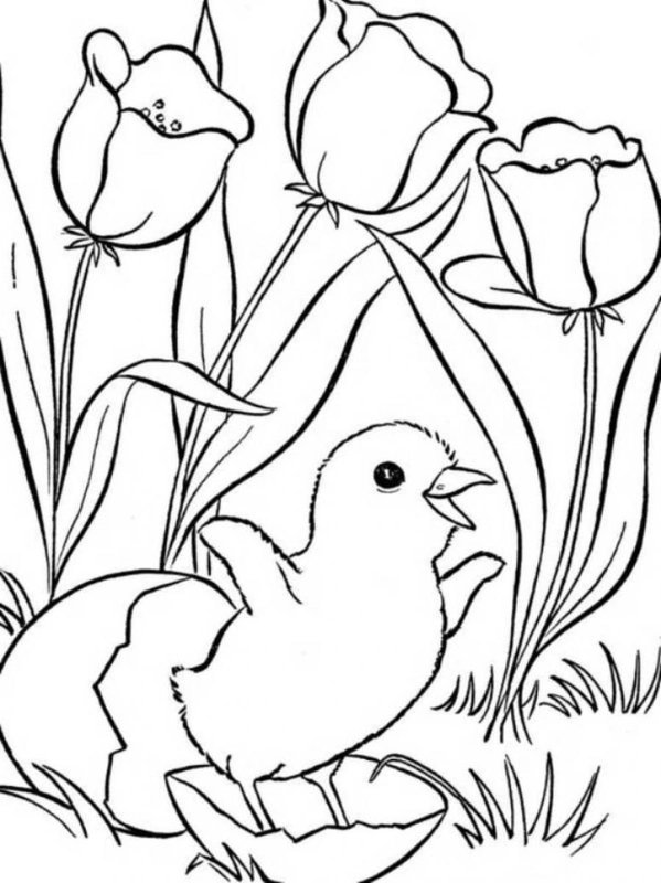 Poussin De Printemps A Partir D Un Oeuf coloring page for children
