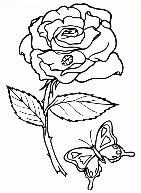Rose Ladybug Butterfly coloring page for children